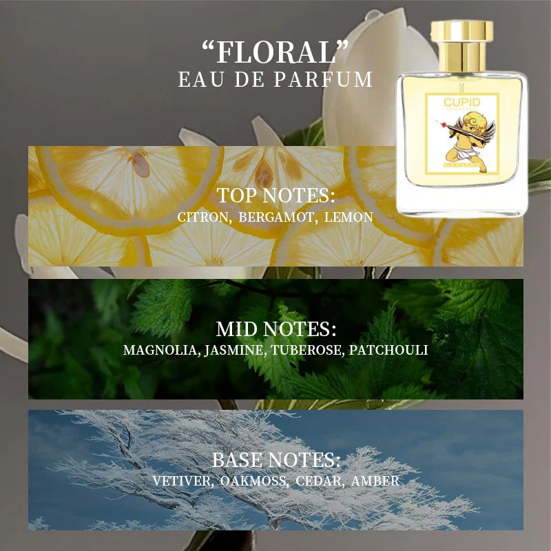 Parfums Cupidon hypnose 50 ml